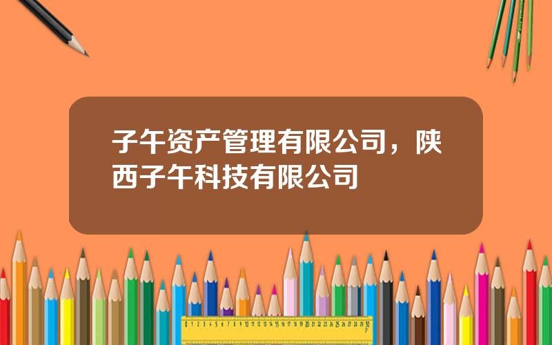 子午资产管理有限公司，陕西子午科技有限公司