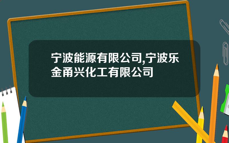 宁波能源有限公司,宁波乐金甬兴化工有限公司