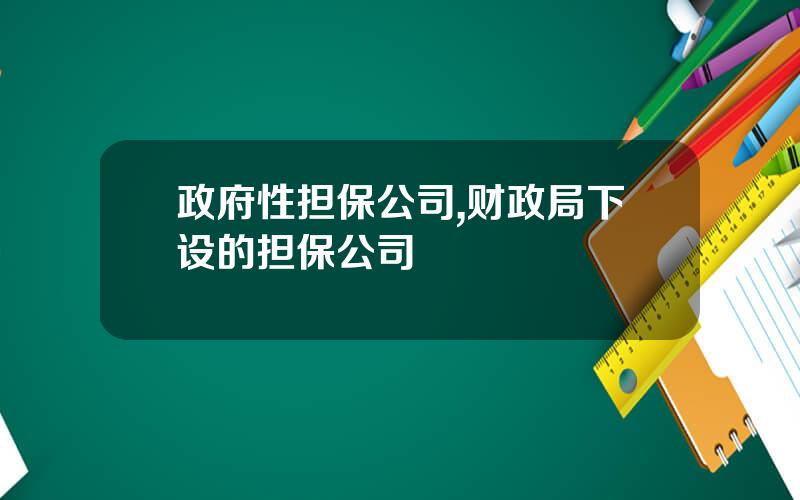 政府性担保公司,财政局下设的担保公司