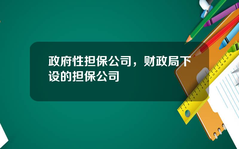 政府性担保公司，财政局下设的担保公司