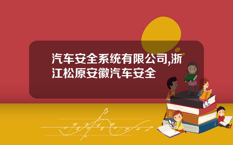 汽车安全系统有限公司,浙江松原安徽汽车安全