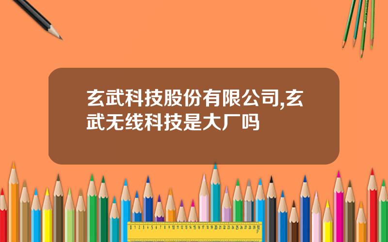 玄武科技股份有限公司,玄武无线科技是大厂吗