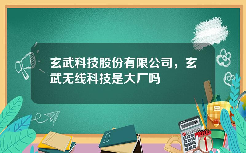 玄武科技股份有限公司，玄武无线科技是大厂吗