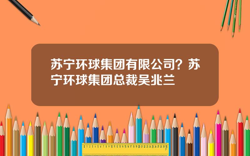 苏宁环球集团有限公司？苏宁环球集团总裁吴兆兰