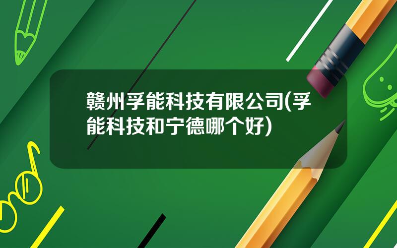 赣州孚能科技有限公司(孚能科技和宁德哪个好)